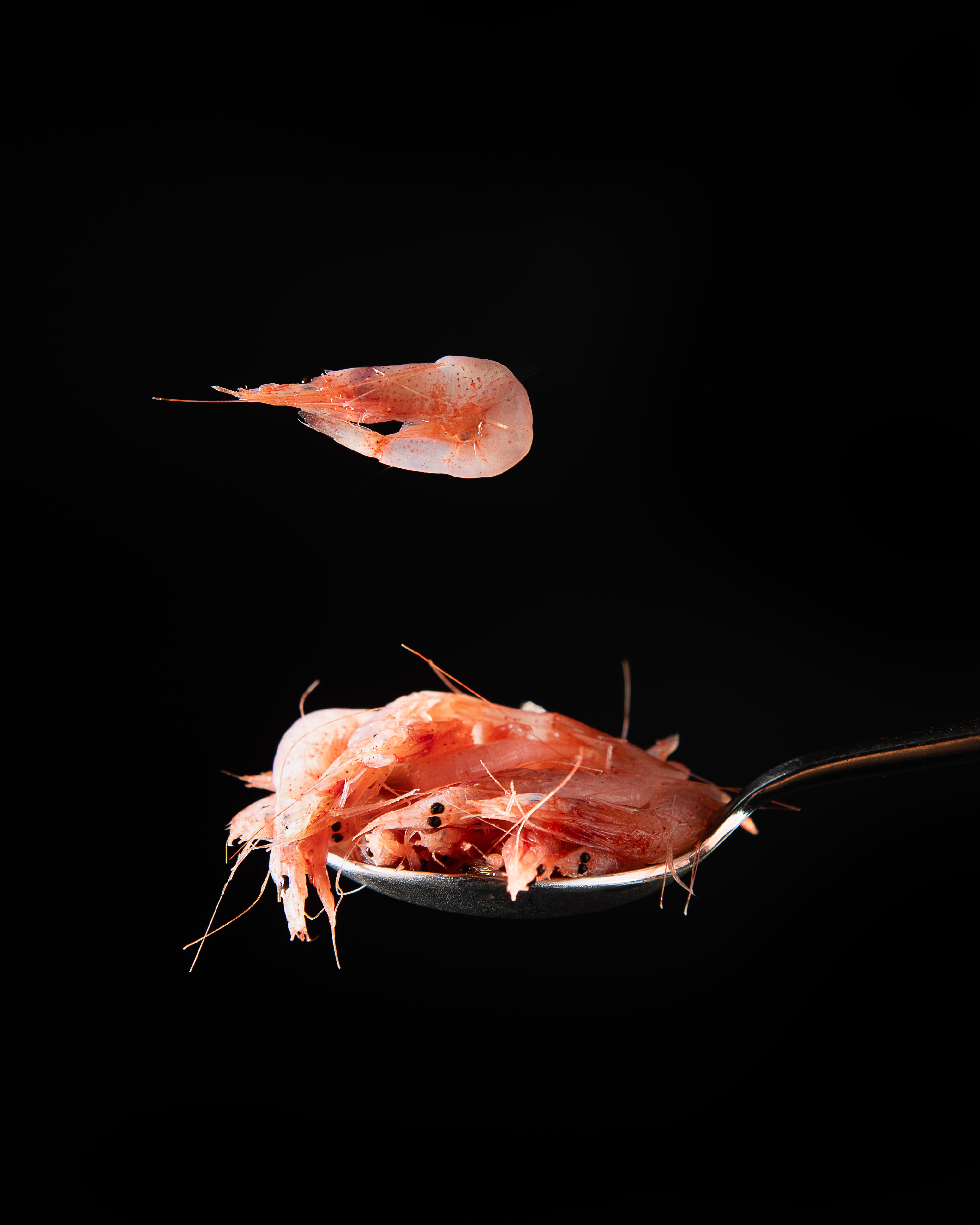 Omakase 2 dish